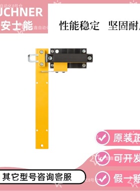 安士能开关传感器 RIEGEL S-A  096384  安全开关 螺栓