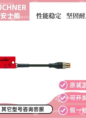 现货 安士能安全门锁 CES-I-AP-M-C04-USI-117323 117323安全开关