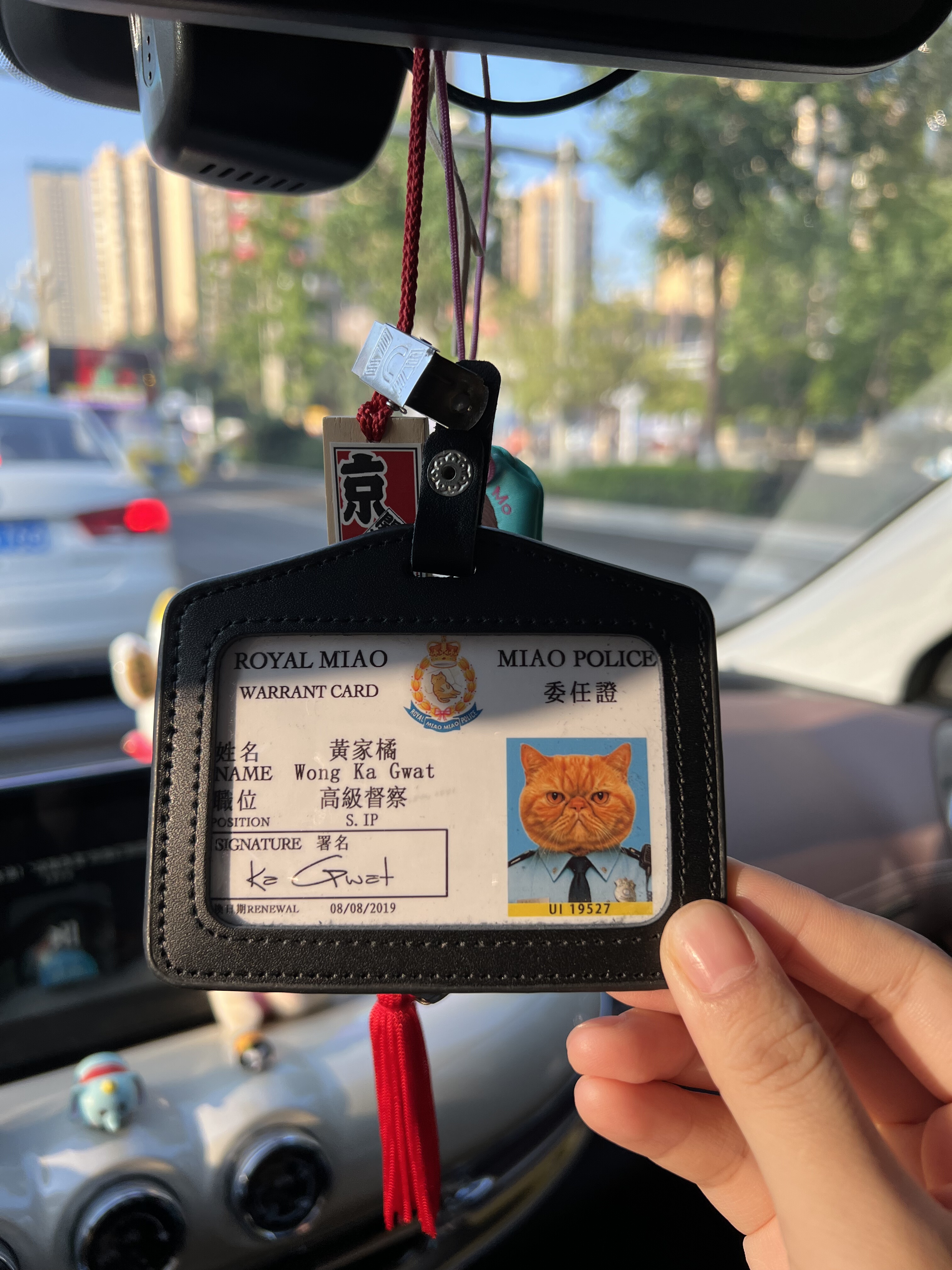 香港皇家猫咪电影道具卡套真皮证件夹宠物周边车挂定制询客服