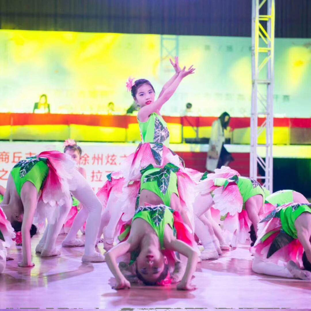 儿童舞蹈演出服女童中国舞服装