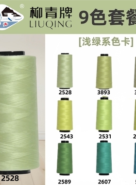 淡绿色系 40S/2柳青线高速涤纶线宝塔缝纫线平车线车缝线SP线浅绿