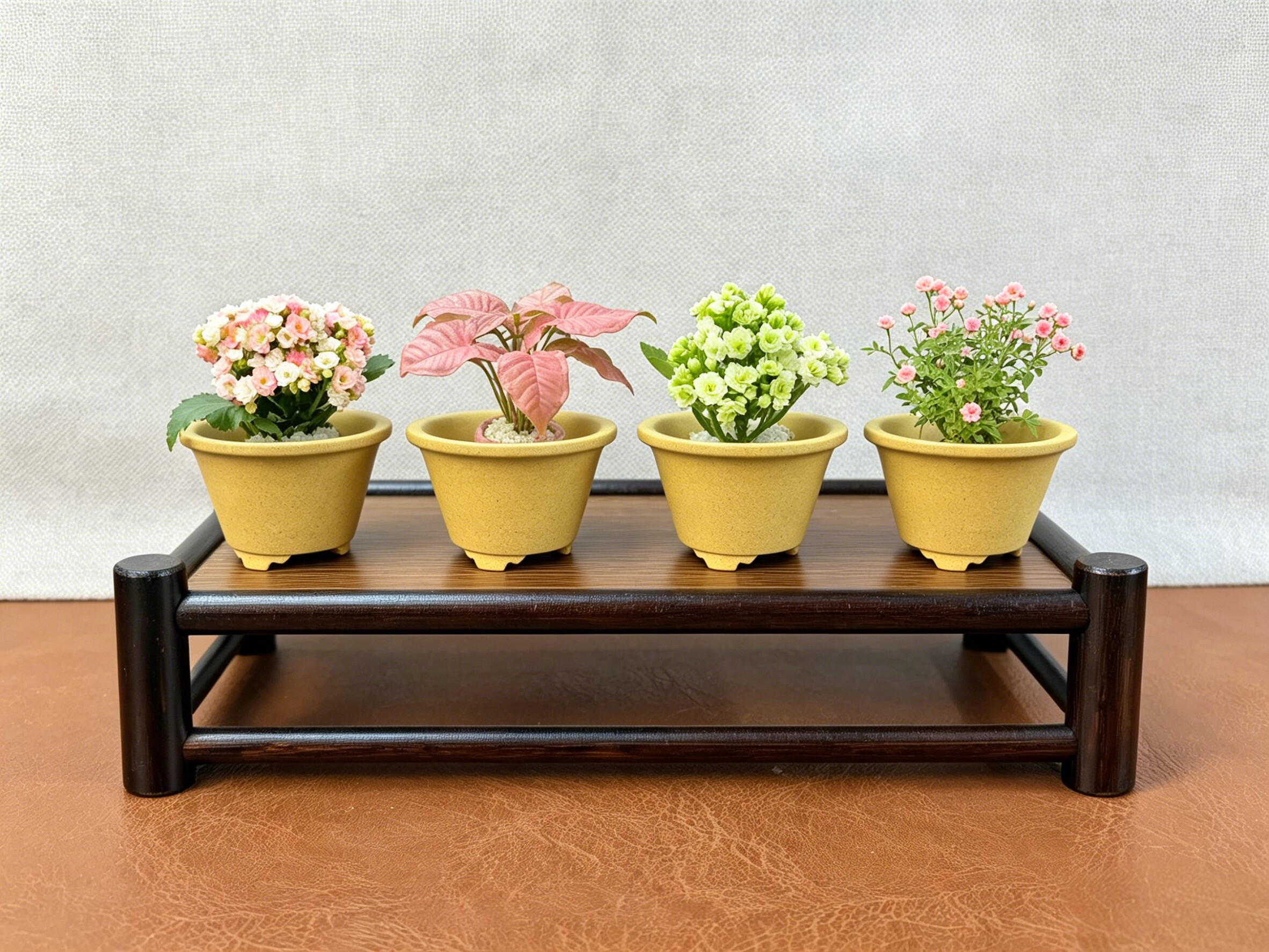 宜兴精品紫砂花盆多肉特价小型花盆圆形手工盆景盆菖蒲花盆包邮