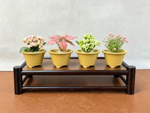 宜兴精品紫砂花盆多肉特价小型花盆圆形手工盆景盆菖蒲花盆包邮 - 封面