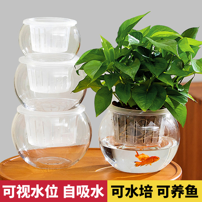 透明水培器皿玻璃花瓶植物花卉