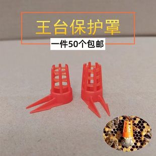 王台保护罩蜜蜂王台防咬保护罩育王工具防啃王台基王笼蜜蜂王台罩