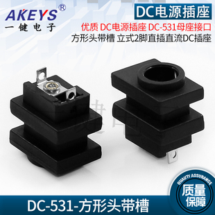 DC-531 2脚直插优质DC电源母座接口方形头带槽 立式直流DC插座