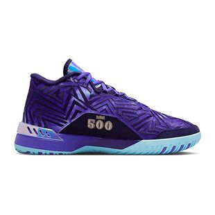 LBJ 501 耐克男鞋 运动训练实战篮球鞋 IB1271 GENISUS NIKE NXXT