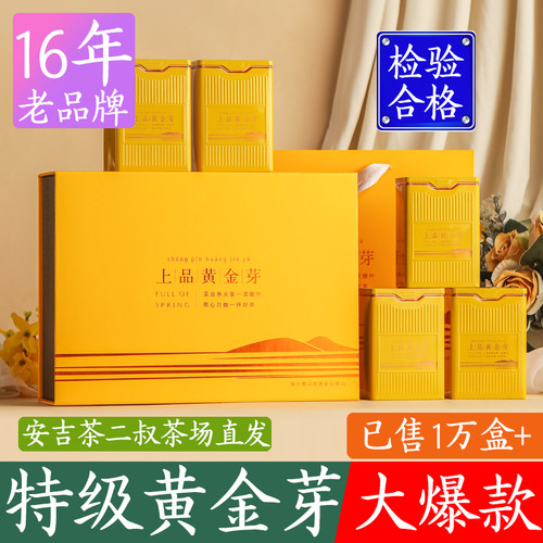现货黄金芽2025年新茶安吉直发