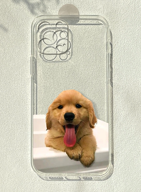 可爱小金毛狗适用苹果16/15promax华为p60pro小米13OPPOreno9荣耀play5简约vivoiqoo11pro一加9rt透明手机壳