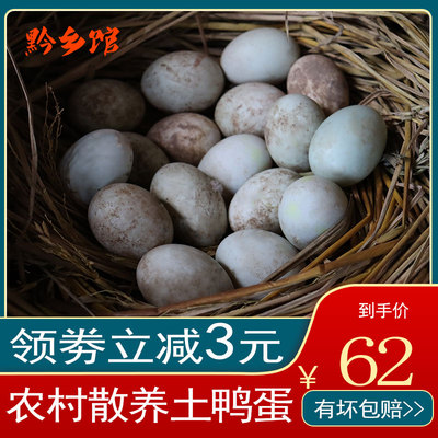 青壳鸭蛋非受精新鲜生土鸭蛋草鸭蛋农家粗粮正宗散养鲜大鸭蛋40枚