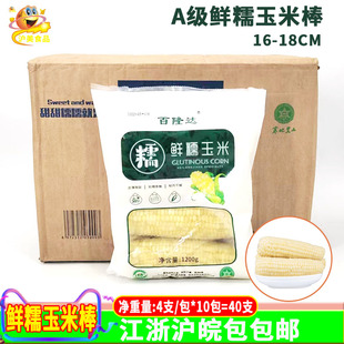 玉米新鲜糯玉米40根 百隆达白色玉米棒A级东北冷冻粘糯玉米甜粘