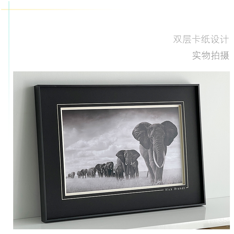 现代简约客厅装饰画 画黑白纪实摄影艺术画 画Nick Brandt非洲大