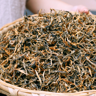 2025年古树金芽 云南滇红茶大金芽古树红茶老树红茶特级滇红金丝