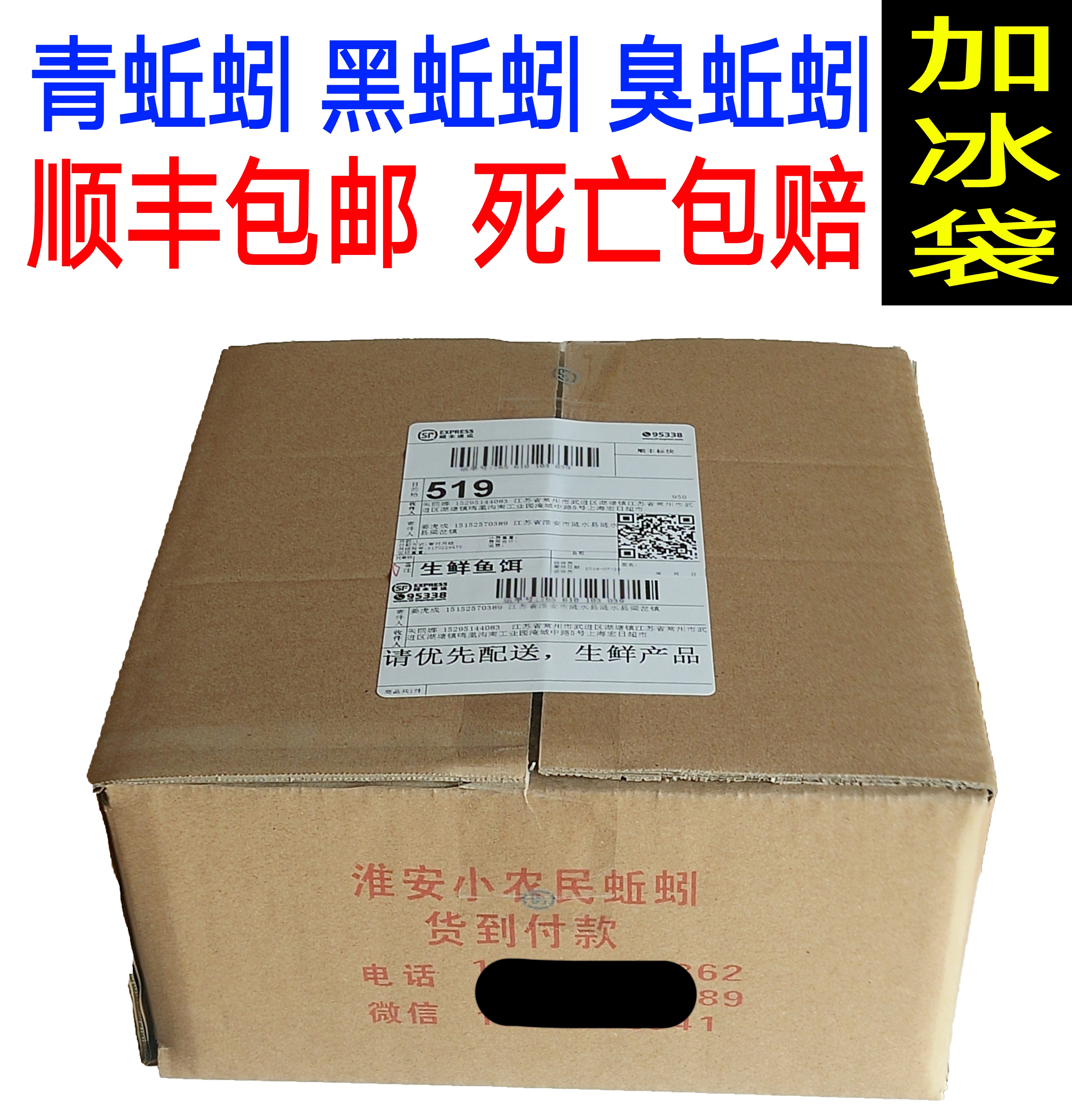 蚯蚓 黑蚯蚓 青蚯蚓 臭蚯蚓 黄鳝龙虾鱼饵 顺丰包邮 下笼子长网