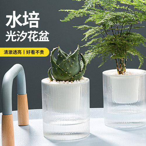 自动吸水懒人储水盆栽桌面简约透明花盆绿萝盆绿箩花卉绿植小花盆 - 封面