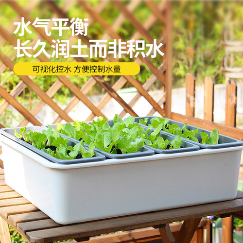 组合式自吸水懒人种菜盆