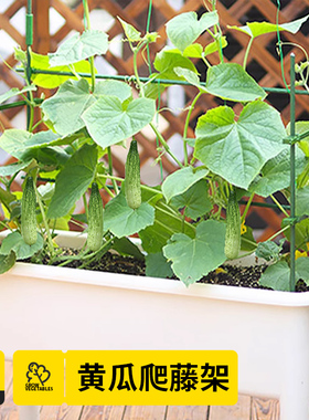 黄瓜豆角爬藤架丝瓜番茄种菜专用架子蔬菜架杆植物固定支撑杆架子