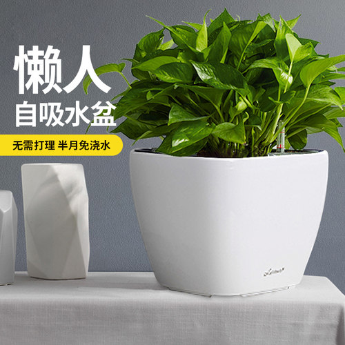 方形懒人自动自吸水花盆免浇水绿萝水养盆大口径绿箩储水塑料器皿 - 封面
