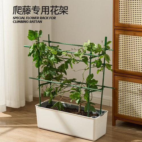 爬藤架植物瓜果花架西瓜支撑杆