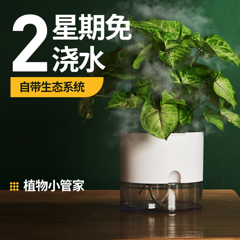桌面免浇水自动自吸水懒人花盆水养绿萝盆栽简约北欧塑料绿植蓄水