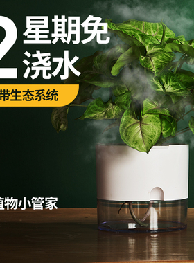 免浇水自动自吸水懒人花盆水养绿萝盆栽水培北欧塑料绿植蓄水器皿