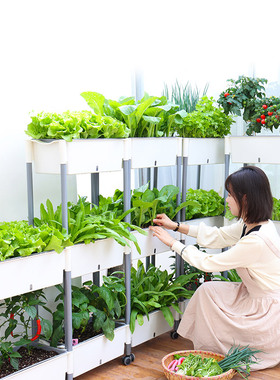 阳台家庭蔬菜种植箱种菜神器种菜架种菜盆立体多层懒人自吸水花盆