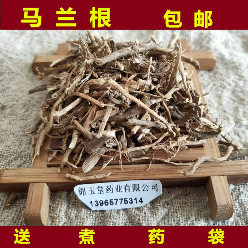中药材马兰根 野生马兰根 马兰草根  新货马蔺根500克包邮