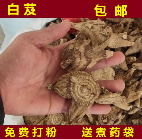 白芨整个 干白芨 三叉白芨片 野生中药材 白芨片 500克包邮白芨粉