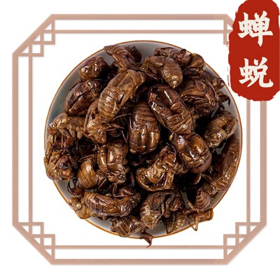 水洗蝉蜕中药材知了皮蝉衣蝉壳虫蜕粉虫退爬猴壳金蝉衣天然250g克