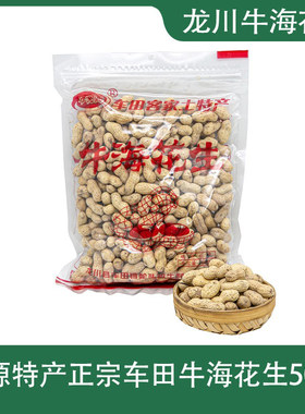 广东河源客家特产龙川车田牛海花生脆香咸干下酒零食坚果小吃500g