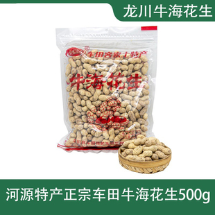 广东河源客家特产龙川车田牛海花生脆香咸干下酒零食坚果小吃500g