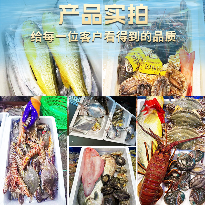 鱼25青岛海鲜礼盒海鲜大礼包过节中秋高端套餐组合过节生鲜送礼