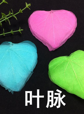 叶脉 心形叶脉 天然真树叶网叶diy滴胶永生花手机壳素材压花画