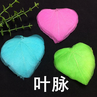 叶脉 心形叶脉 天然真树叶网叶diy滴胶永生花手机壳素材压花画