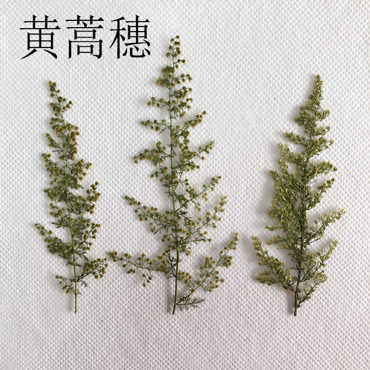 黄蒿穗 押花书签学生手工制作材料儿童创作标本diy滴胶手机壳干花