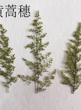 黄蒿穗 押花书签学生手工制作材料儿童创作标本diy滴胶手机壳干花