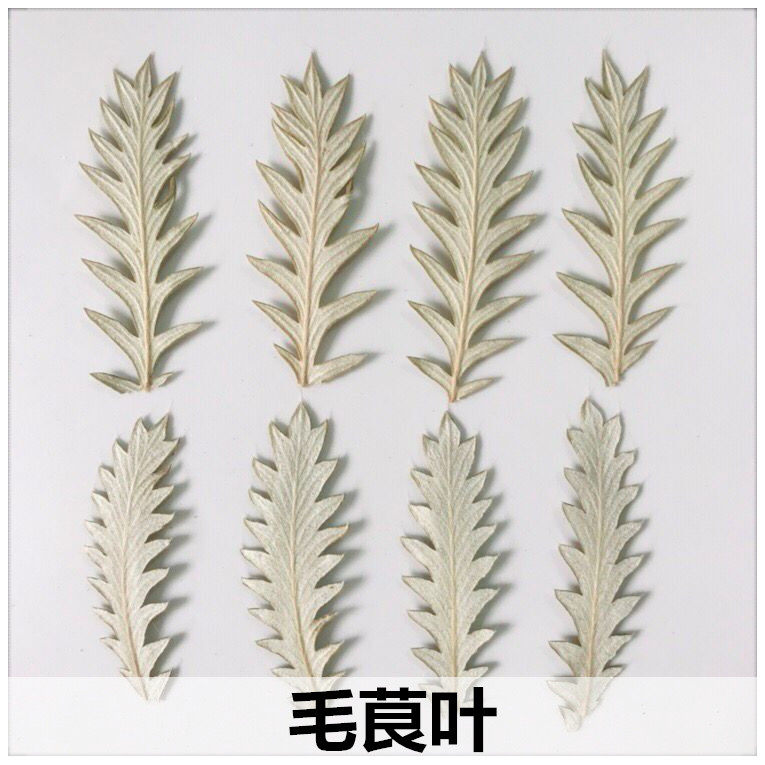 毛茛叶 永生花滴胶手机壳干花香薰蜡烛押花幼儿园学生diy贴画树叶