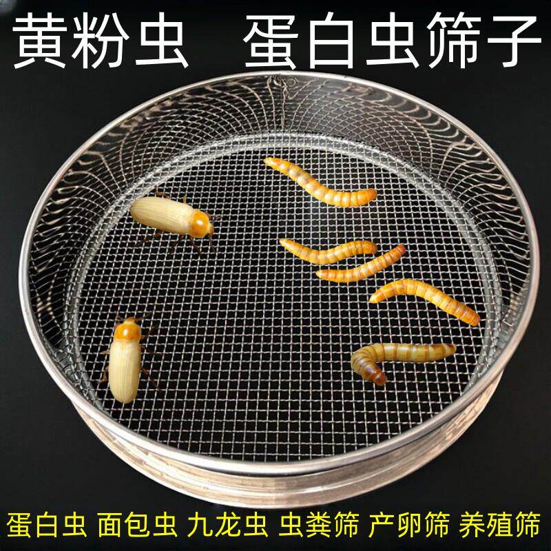 筛子黄粉虫产卵筛虫粪筛网面包虫筛子虫蛹分离筛大麦虫粪筛过滤筛