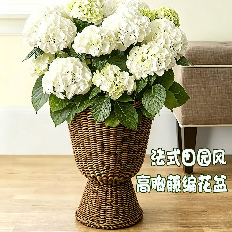 藤编高脚花盆客厅落地编织花篮图片