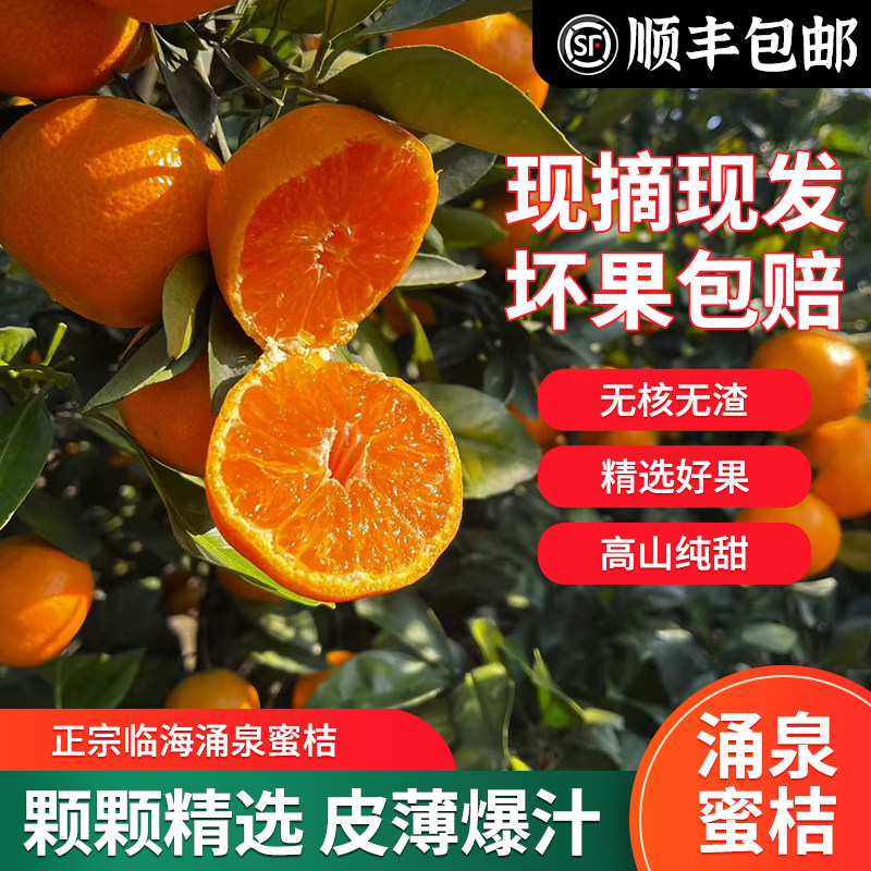 正宗临海涌泉蜜桔无核薄皮高山桔子超大果新鲜蜜橘果王整箱送礼