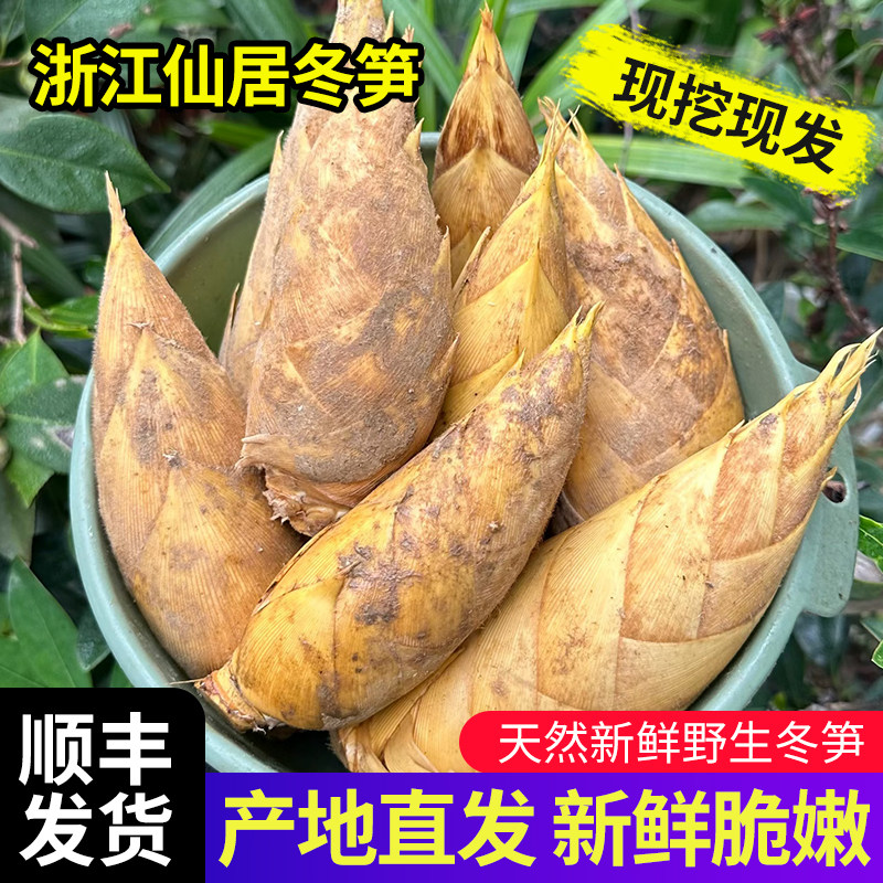 正宗仙居黄泥冬笋新鲜现挖野生笋尖农家时令土特产顺丰锁鲜竹笋
