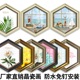 防水浴室卫生间北欧式 绿植向日葵装 饰画客厅六边形挂画晶瓷画餐厅