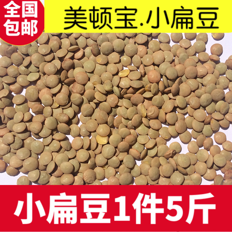 美顿宝营养鸽粮新货小扁豆