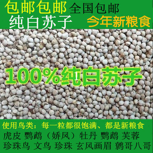纯白苏籽鸟粮芙蓉食文500