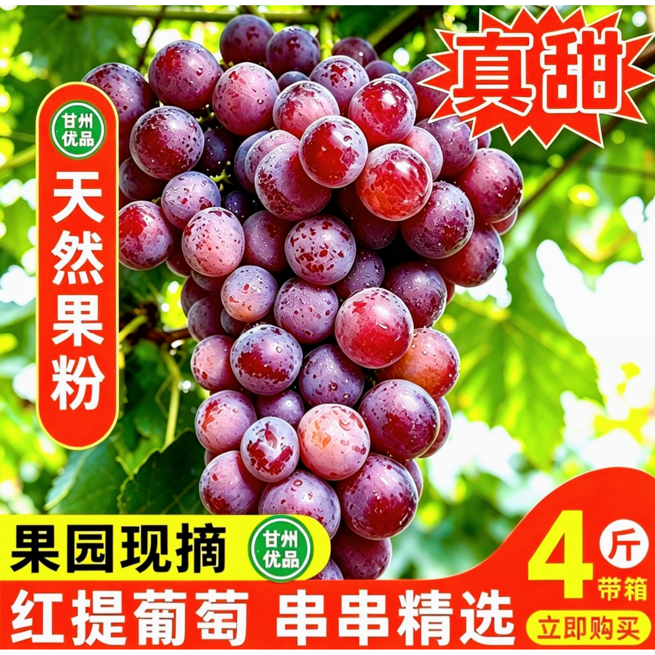 张掖红提葡萄新鲜采摘鲜果包邮