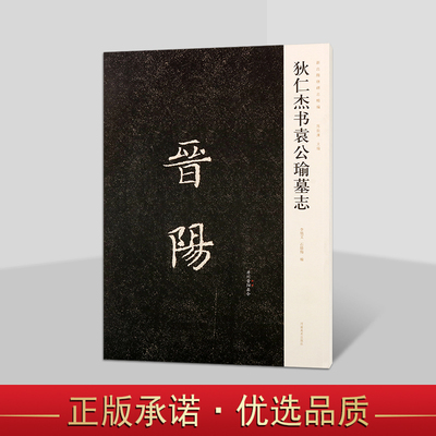 新出隋唐碑志精编:狄仁杰书袁公瑜墓志 8开本碑帖中国古代唐朝楷书法帖大字经典碑刻作品临摹范本字帖河南美术出版社