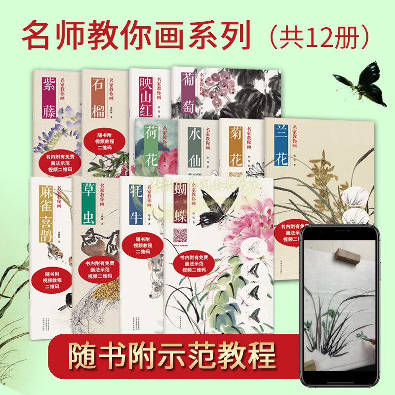 名师教你画国画花鸟全套12册国学初学者技法普及入门本草虫兰菊荷花水仙葡萄石榴蝴蝶麻雀名师教你画系列赠画法视频河南美术社