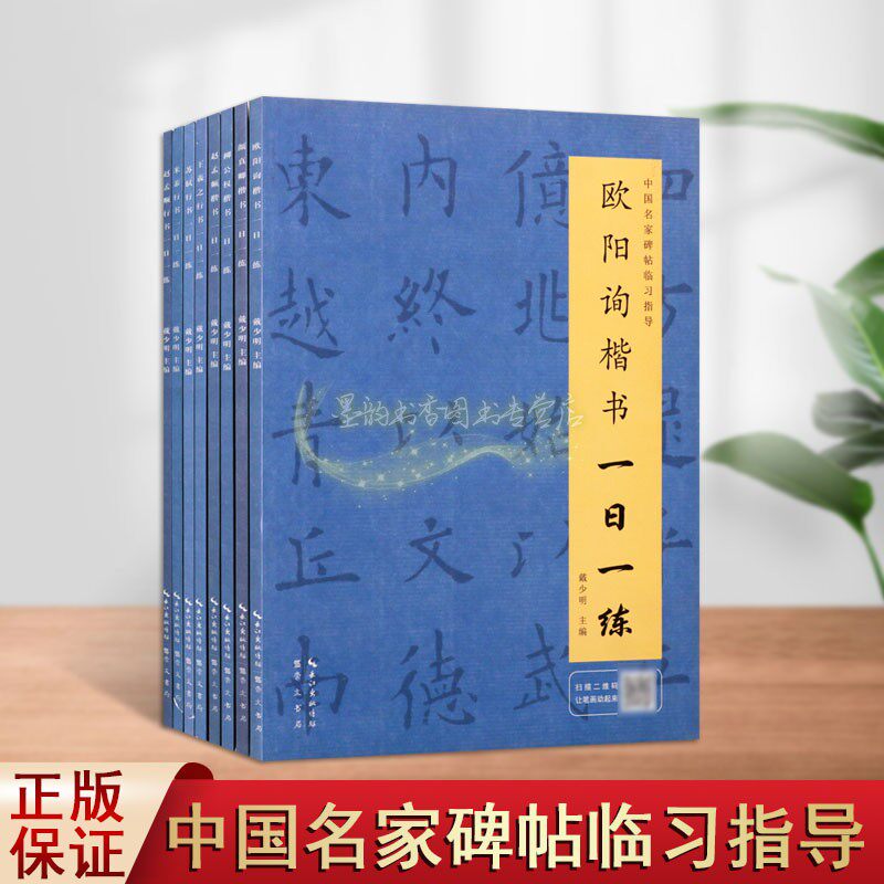 名家楷书行书一日一练书法字帖(全套8册)初学入门课程赵孟頫柳公权颜真卿欧阳询楷书四大家王羲之苏轼米芾毛笔字练习临摹米字格书
