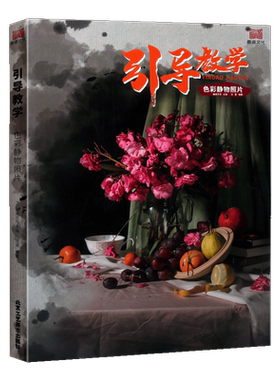 引导教学：色彩静物照片 画道文化 沈雷单体组合水果蔬菜花卉器皿杂物黑白照片写生画长期模拟考题美术高考美院书籍 北京工艺美术