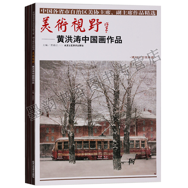正版美术视野中国画部分中国各省市自治区美协主席副主席作品精选（共四册）陈石中国画作品韦俊平中国画作品等北京工艺美术出版社